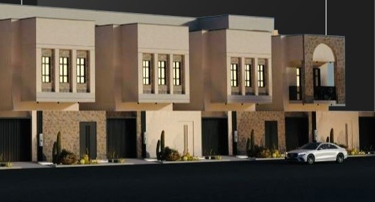 صورة المشروع 1